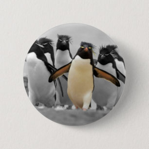 Chapa Redonda De 5 Cm Pingüinos de Rockhopper