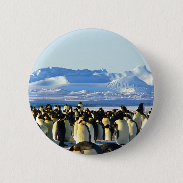 Chapa Redonda De 5 Cm Pingüinos emperadores (Anverso)