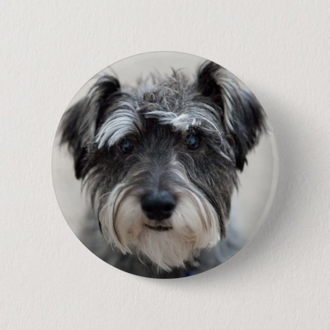 Chapa Redonda De 5 Cm Pino redondo de perro Schnauzer (Anverso)