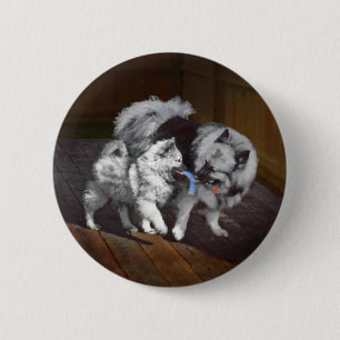 Chapa Redonda De 5 Cm Pintado Keeshond Playtime - Arte Perro Original.