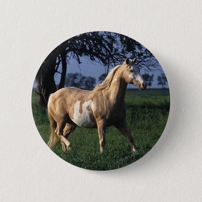 Chapa Redonda De 5 Cm Pinte el caballo que coloca 2 (Anverso)