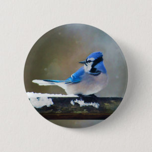Chapa Redonda De 5 Cm Pintura de Jay azul - Arte de pájaro original