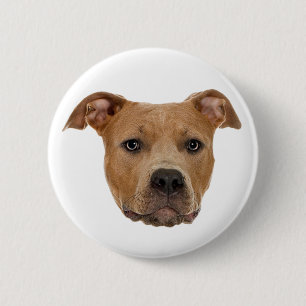 Chapa Redonda De 5 Cm Pitbull Dog