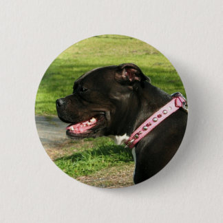 Chapa Redonda De 5 Cm Pitbull negro