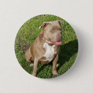 Chapa Redonda De 5 Cm Pitbull pacífico