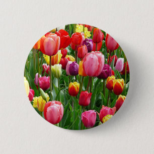 Chapa Redonda De 5 Cm pixabay.comentulips-tulip-bed-colorful-color-52126