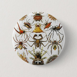 Chapa Redonda De 5 Cm placa de arañas doradas Haeckel 66