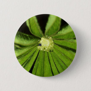 Chapa Redonda De 5 Cm Planta de palma para bebés por Shirley Taylor