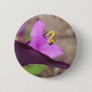 Chapa Redonda De 5 Cm planta morada llamada tradescantia y una pequeña a