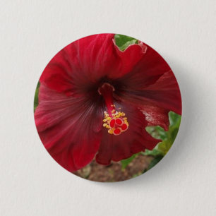 Chapa Redonda De 5 Cm planta roja del hibisco de Hawaii