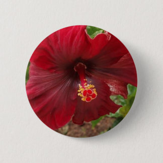 Chapa Redonda De 5 Cm planta roja del hibisco de Hawaii