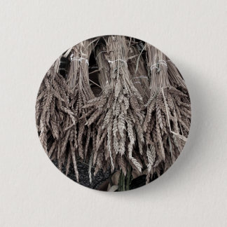 Chapa Redonda De 5 Cm Plantas secas para decorar