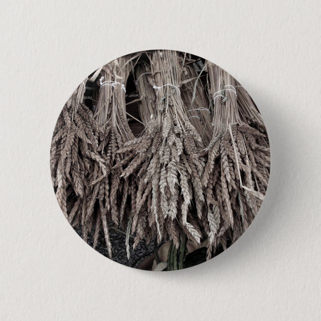Chapa Redonda De 5 Cm Plantas secas para decorar (Anverso)