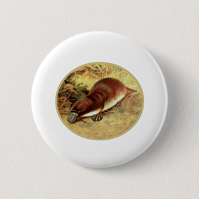 Chapa Redonda De 5 Cm Platypus (Anverso)