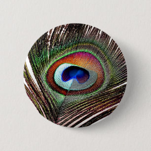 Chapa Redonda De 5 Cm Pluma Colorida de Pavo Real de Cobre