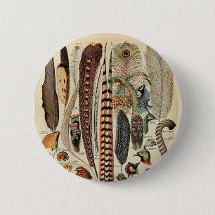 Chapa Redonda De 5 Cm Plumas de aves silvestres antigüedades