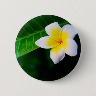 Chapa Redonda De 5 Cm Plumeria