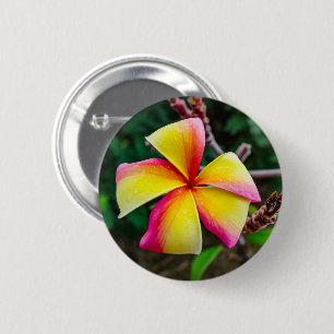 Chapa Redonda De 5 Cm Plumeria rubra
