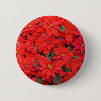 Chapa Redonda De 5 Cm Poinsettias rojas Navidad la foto floral navideña