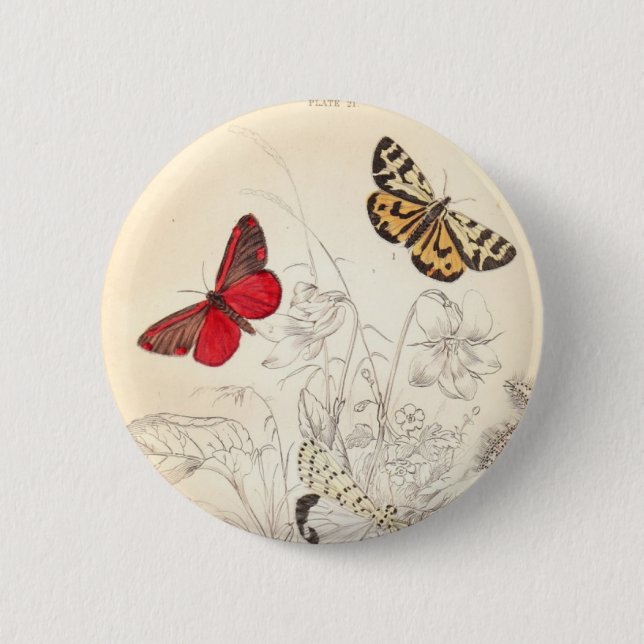 Chapa Redonda De 5 Cm Polillas y mariposas (Anverso)