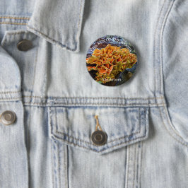 Chapa Redonda De 5 Cm Pollo naranja del champiñón de Woods