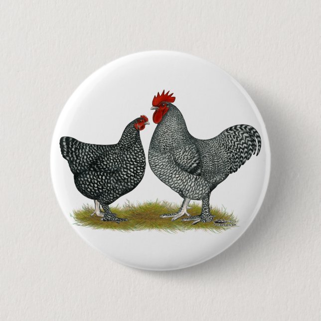Chapa Redonda De 5 Cm Pollos malinos (Anverso)