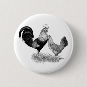 Chapa Redonda De 5 Cm Pollos marrones de producción de leghornos