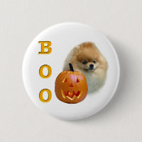 Pomeranian Boo