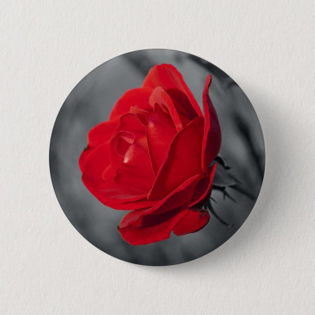 Chapa Redonda De 5 Cm Prendedor de Rosa Roja (Anverso)