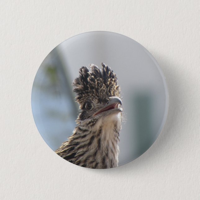 Chapa Redonda De 5 Cm Primer del Roadrunner (Anverso)