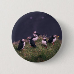 Chapa Redonda De 5 Cm Puffins atlánticos