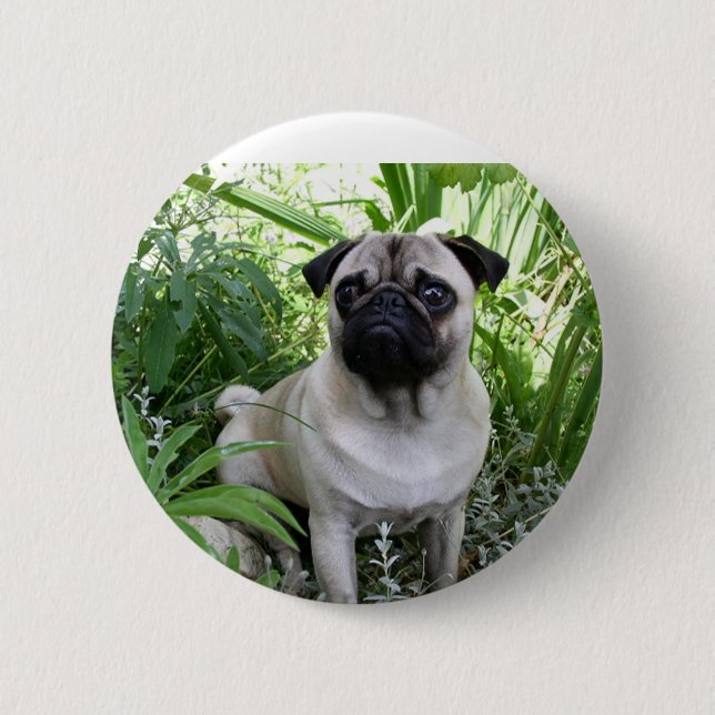 Chapa Redonda De 5 Cm pug sentado (Anverso)