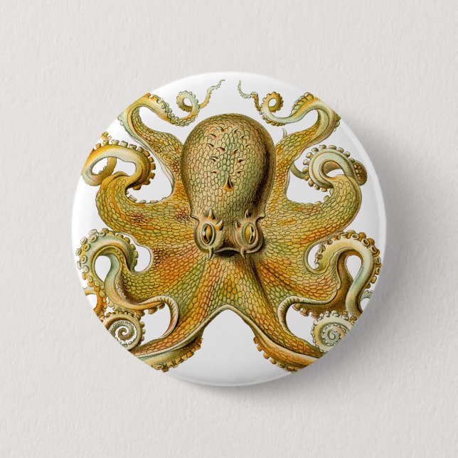 Chapa Redonda De 5 Cm Pulpo de Ernst Haeckel (Anverso)
