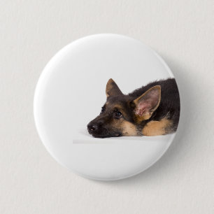 Chapa Redonda De 5 Cm puppy german sheperd