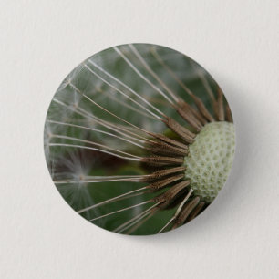 Chapa Redonda De 5 Cm pusteblume
