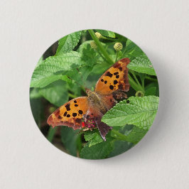 Chapa Redonda De 5 Cm Question Mark Butterfly on Lantana