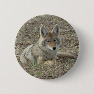 Chapa Redonda De 5 Cm R22 Coyote Acostado
