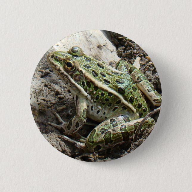 Chapa Redonda De 5 Cm R3 Rana Leopardo (Anverso)