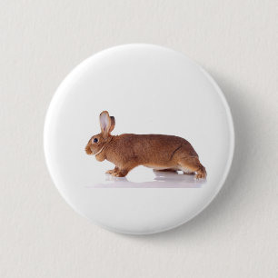 Chapa Redonda De 5 Cm rabbit