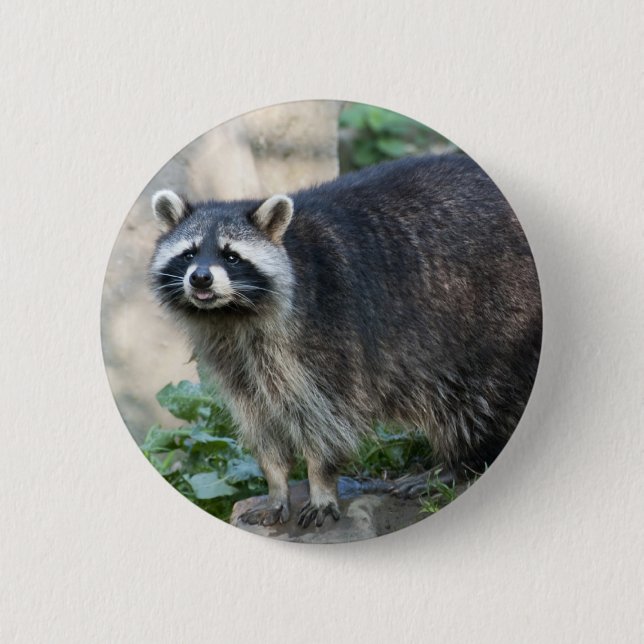 Chapa Redonda De 5 Cm Raccoon Pin (Anverso)