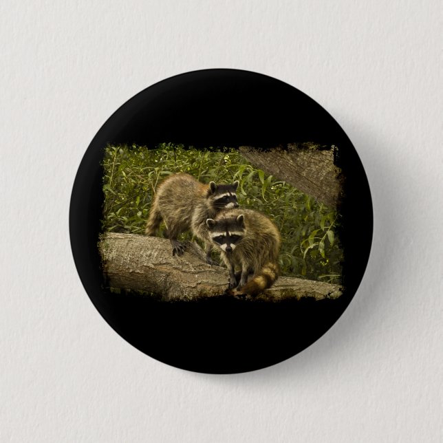 Chapa Redonda De 5 Cm Raccoons (Anverso)