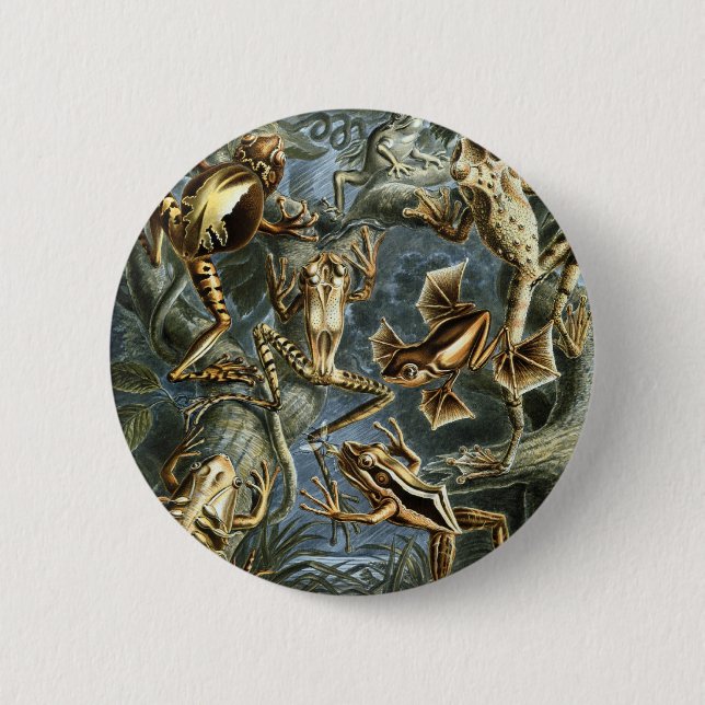 Chapa Redonda De 5 Cm Ranas (Anverso)