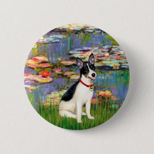 Chapa Redonda De 5 Cm Rat Terrier - Lilies 2
