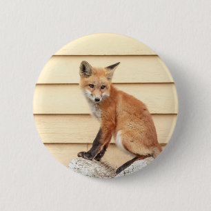 Chapa Redonda De 5 Cm Red Fox Kit en el Valle de Hudson