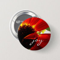Red Gerbera Daisy Foto Joy Script Audaz Moderno
