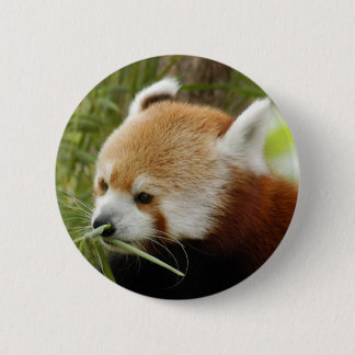 Chapa Redonda De 5 Cm red-panda-031
