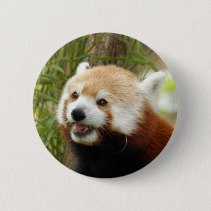 Chapa Redonda De 5 Cm red-panda-033