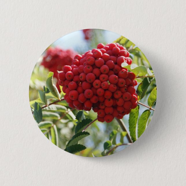 Chapa Redonda De 5 Cm Red Rowan Berries (Anverso)
