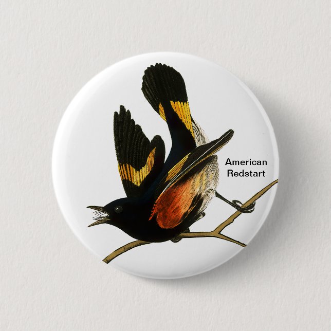 Chapa Redonda De 5 Cm Redstart estadounidense por John James Audubon, Bi (Anverso)