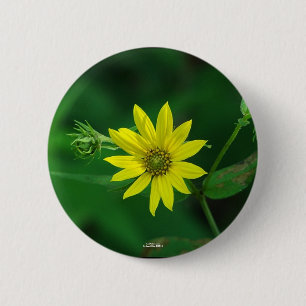Chapa Redonda De 5 Cm Regalos de Girasol Boscoso del Parque Nacional Hot
